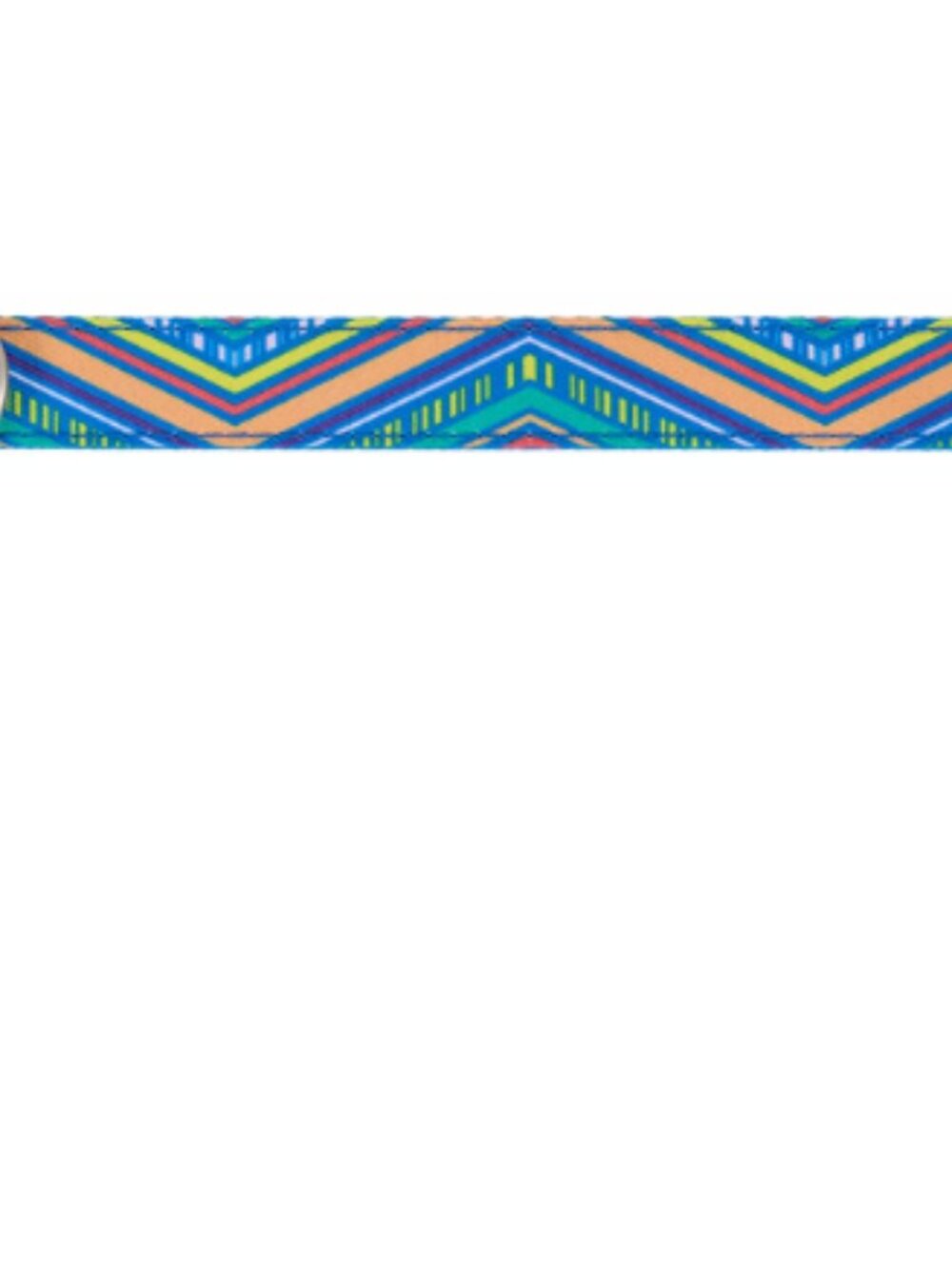 Top Paw® Retro Striped Dog Collar